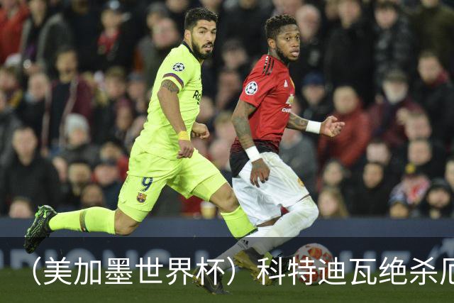 （美加墨世界杯）科特迪瓦绝杀厄瓜多尔 瑞典5:1大胜突尼斯